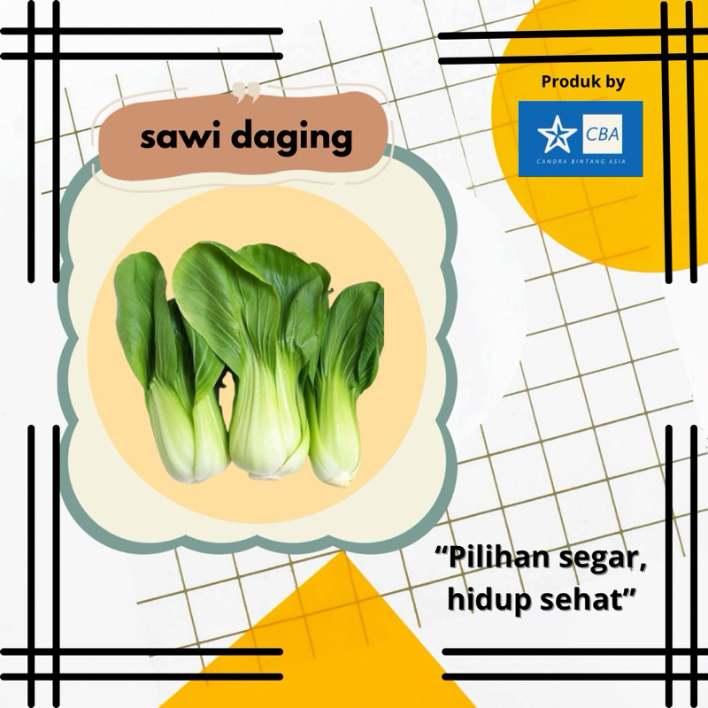 

sawi daging pak coy fresh siap kirim
