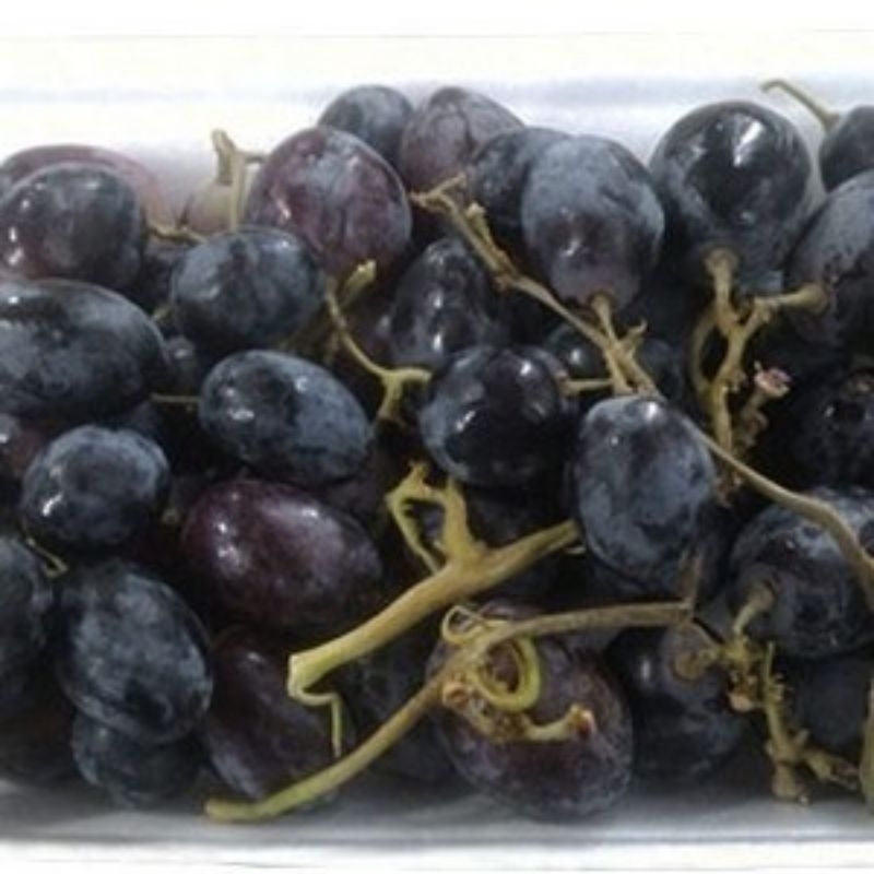 

Anggur 1 kg