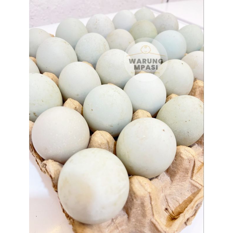 

Telur Bebek