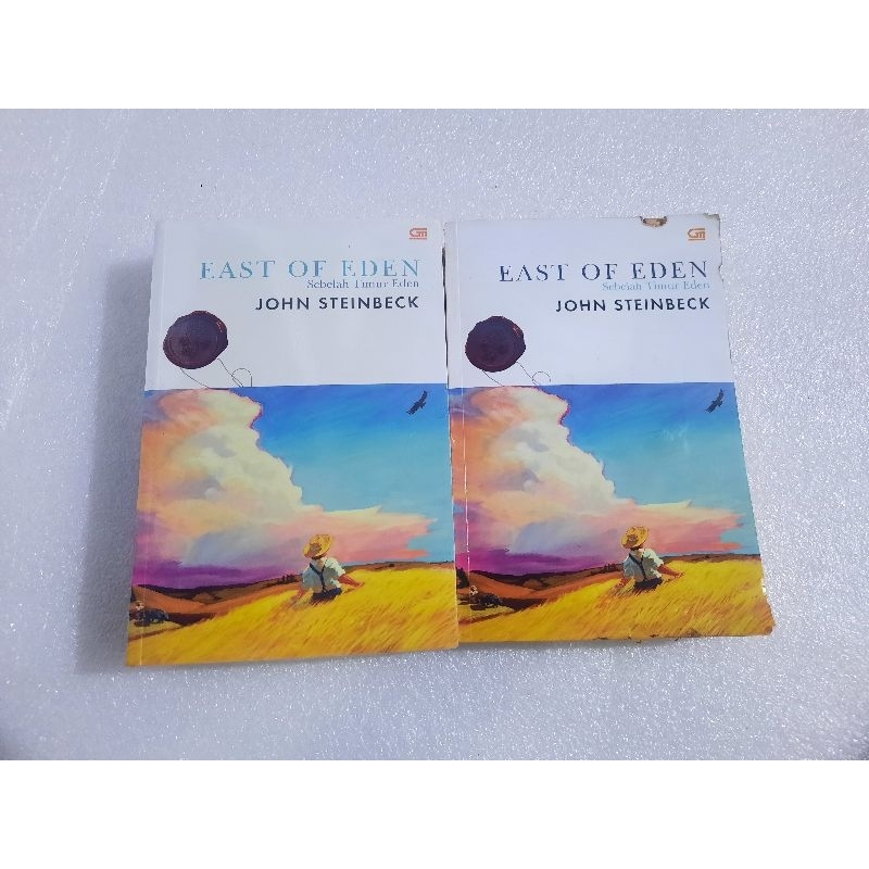 Novel EAST OF EDEN  Sebelah Timur Eden