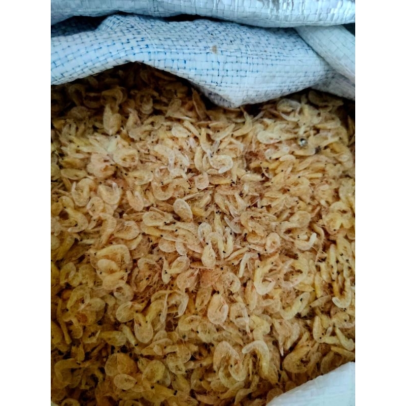 

UDANG REBON - BUE HE - UDANG KERING - UDANG KECIL - HAHONG ASLI PONTIANAK