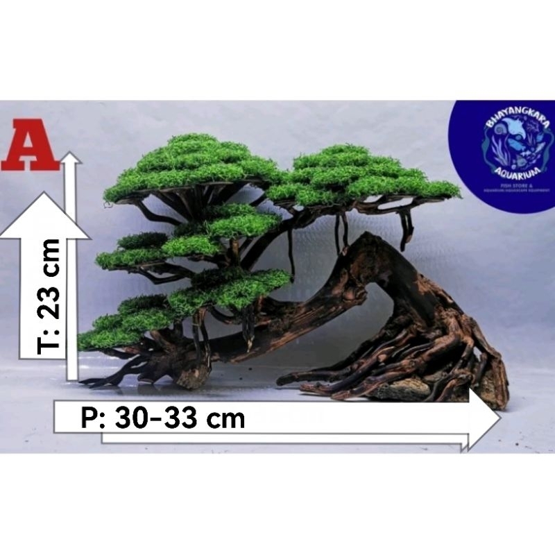 BONSAI AQUARIUM-AQUASCAPE-HARDSCAPE 30-33cm
