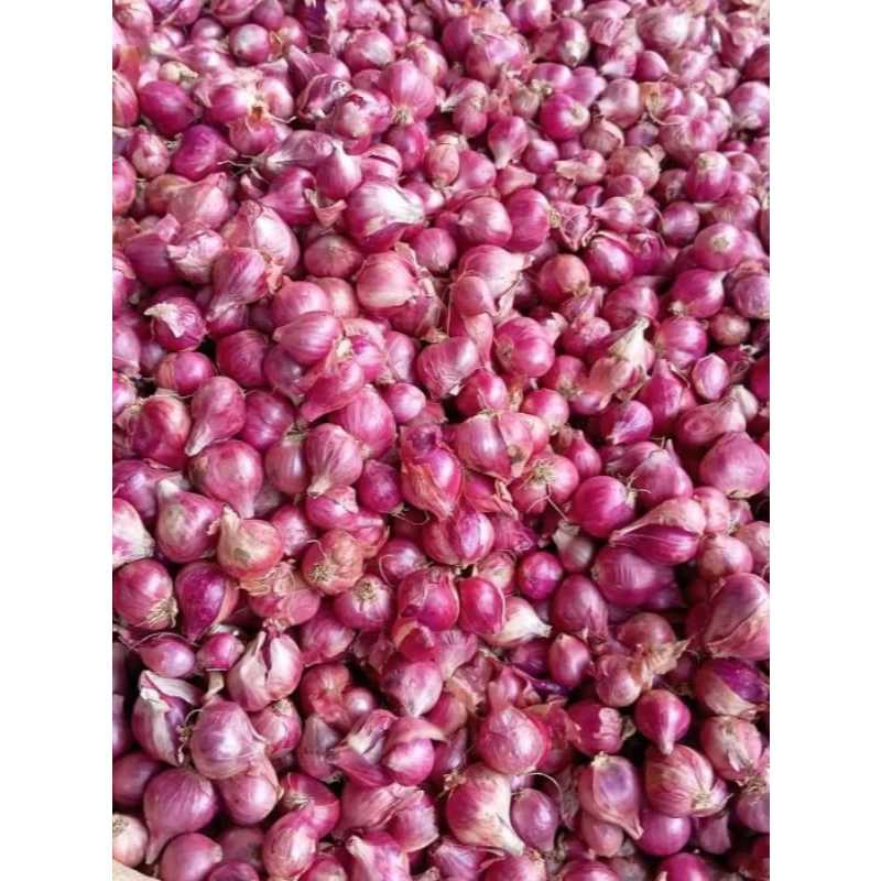

RB Bawang Merah Brebes Ukuran Sedang 1Kg