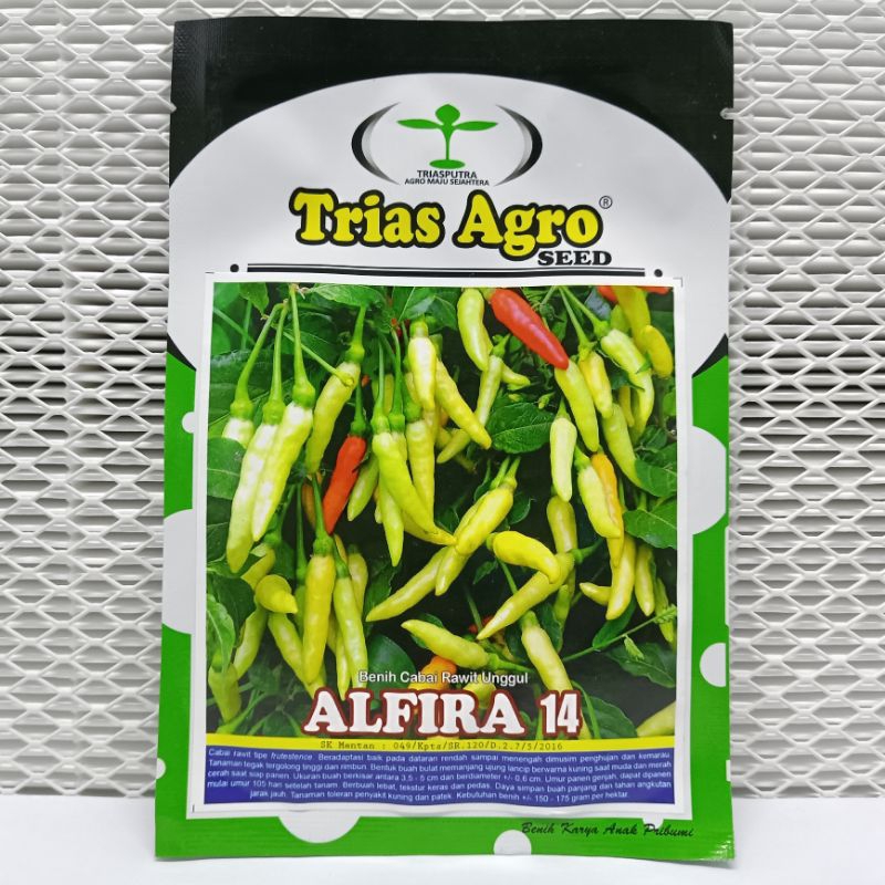 RB (BISA COD) 10 GRAM - BENIH BIBIT CABE RAWIT PUTIH UNGGUL "ALFIRA 14" - TRIAS AGRO SEED