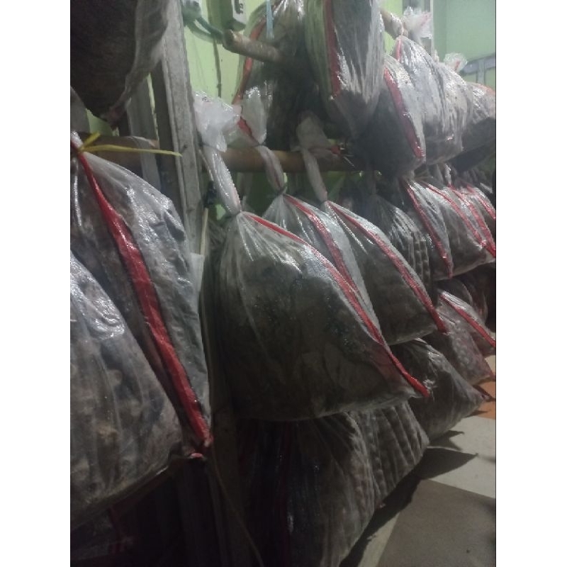 jangkrik alam hidup karungan