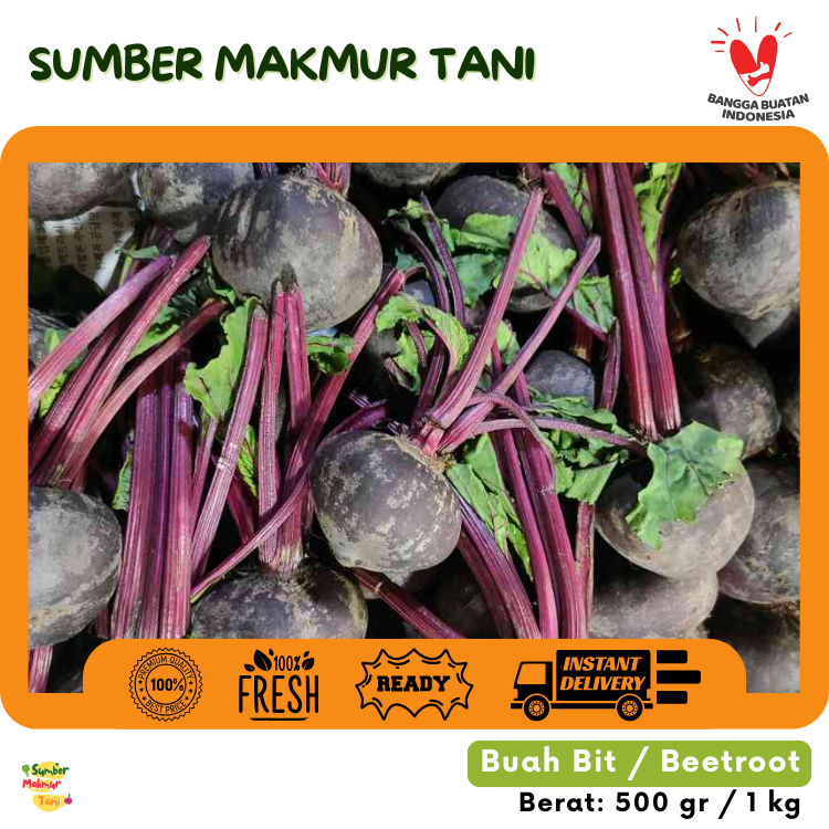 

[TERMURAH] Bit / Beetroot Segar Kualitas Premium – Kaya Nutrisi, Antioksidan Tinggi, Baik untuk Kesehatan Kulit dan Darah