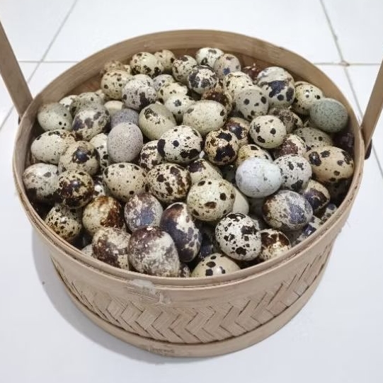

Telur Puyuh Mentah
