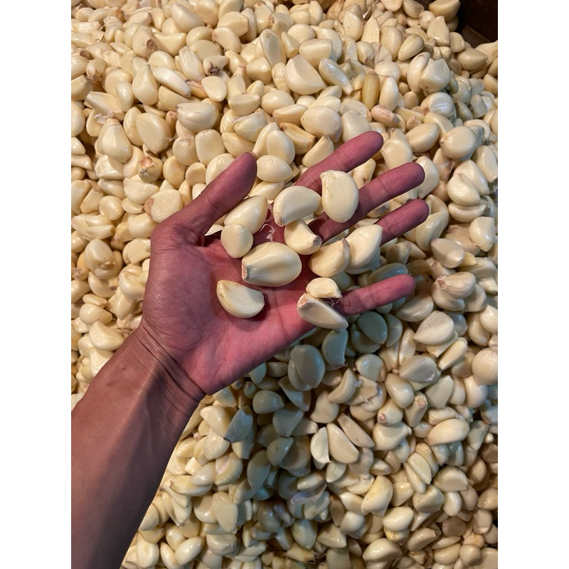 

bawang putih kupas