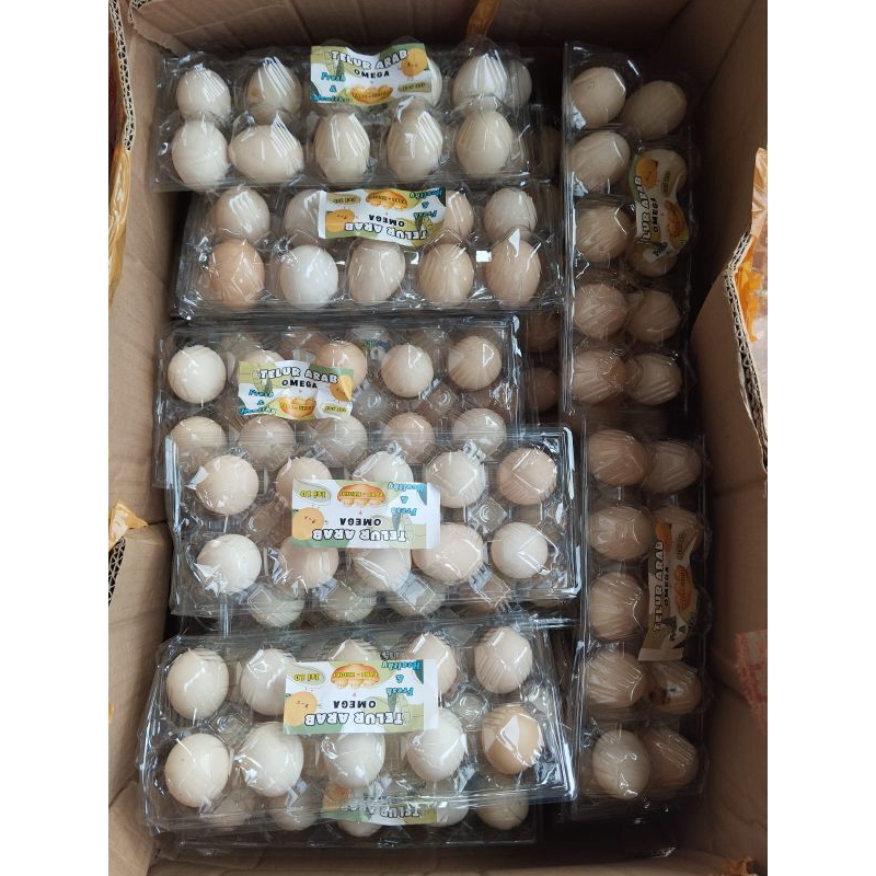 

Telur Arab / Omega