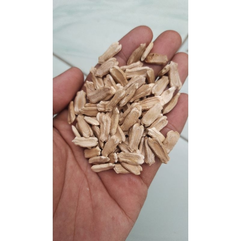 

request order ½kg biji labu botol