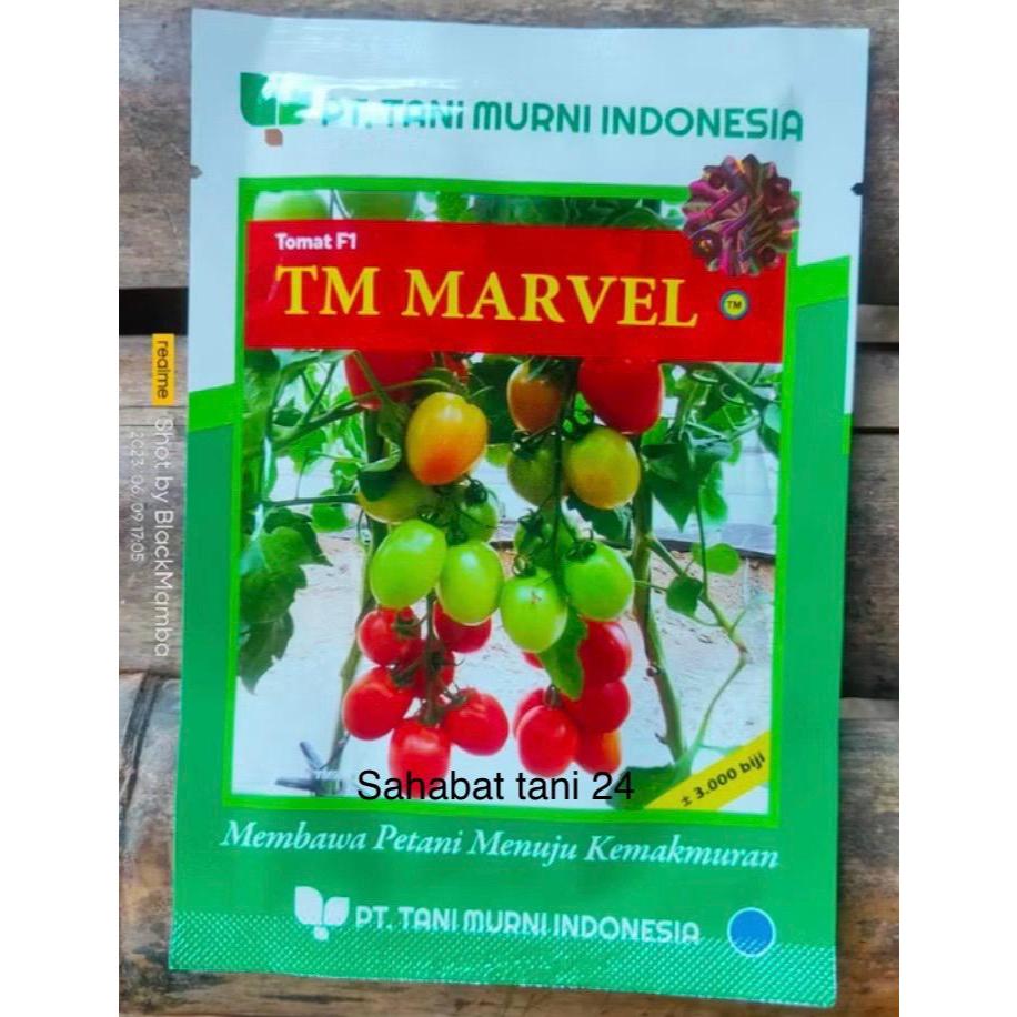 Benih tomat TM Marvel f1 10 gram bibit tomat hibrida produksi Tani Murni