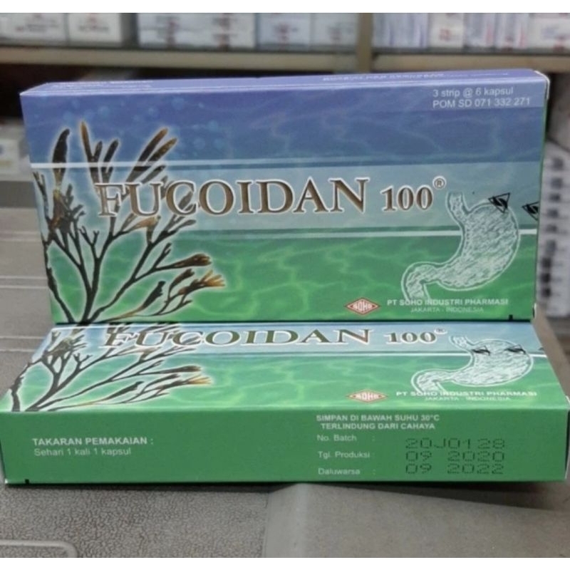 fucoidan box