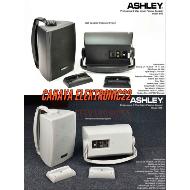 Speaker Ashley B 65/ B65 6Inch Pasif Speaker Garansi Original