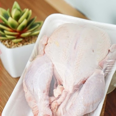 

AYAM BROILER FRESH UKURAN (0.8 SAMPAI 0.9)
