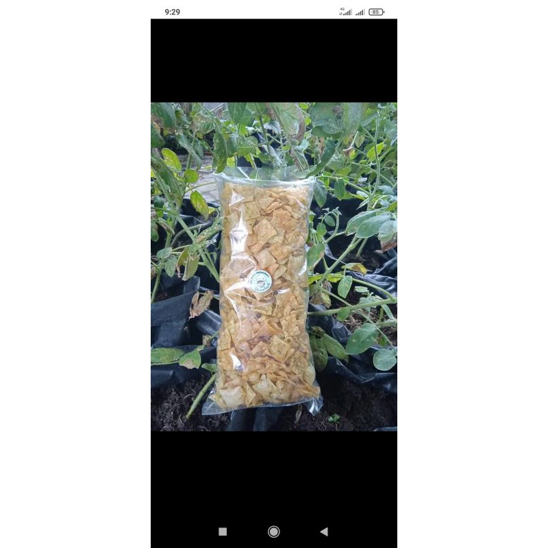 

250 gr keripik pangsit asin daun jeruk purut