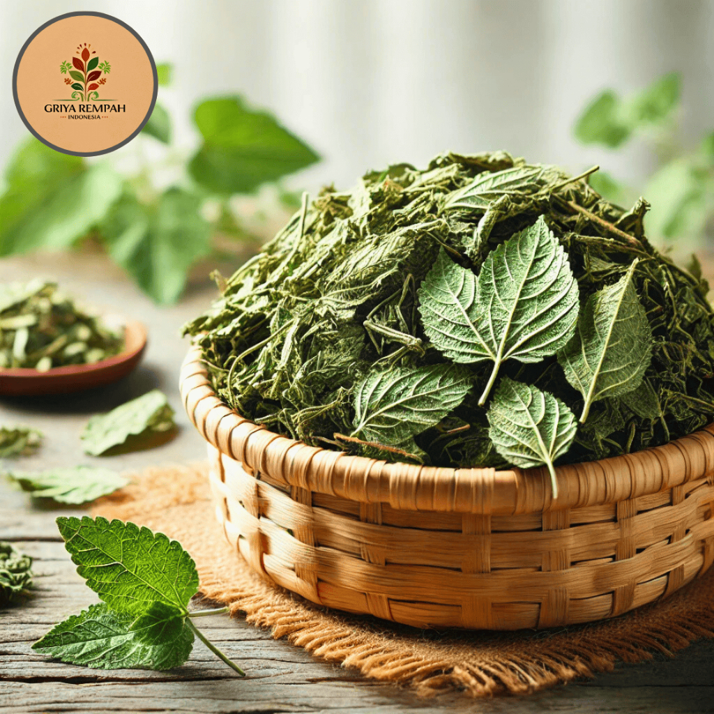 

KIRINYUH KERING 50 GRAM – Kopasanda Ramuan Rempah Herbal Jamu Tradisional Tradisional Alami untuk Kesehatan Bandot krinyuh Rumput Minjangan Simplisia Chromolaena odorata