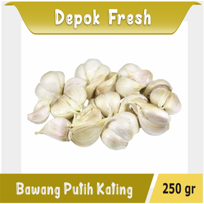 

BAWANG PUTIH KATING BERKUALITAS