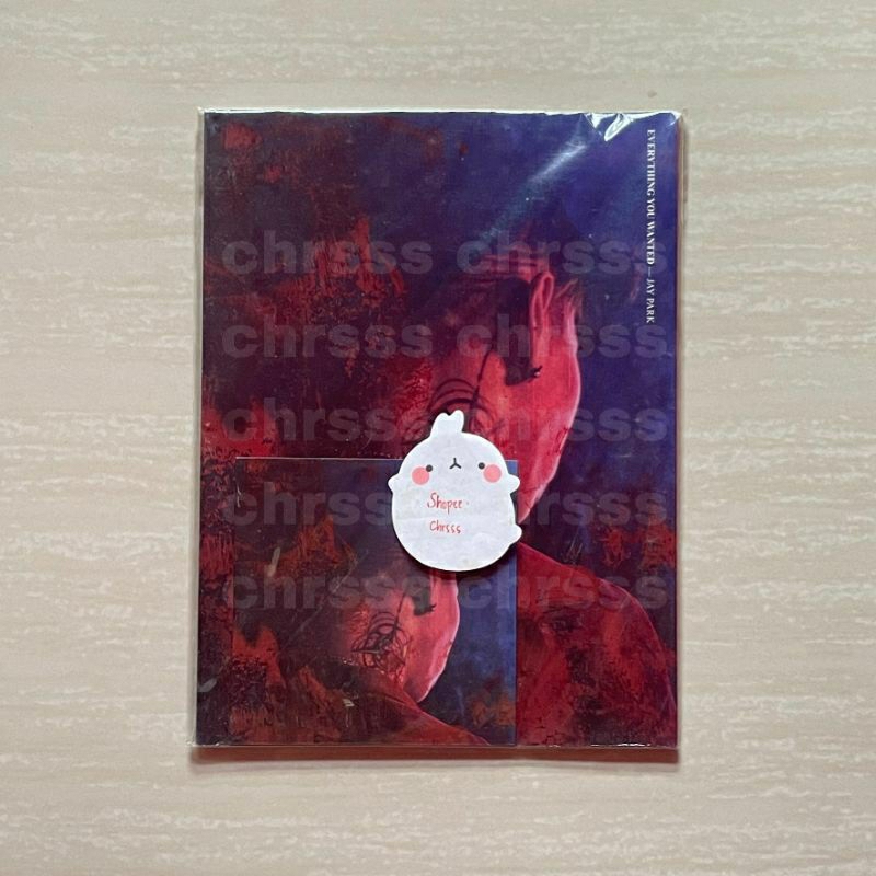 Jay Park - Everything You Wanted Album