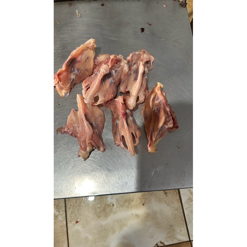 

TULANG DADA AYAM