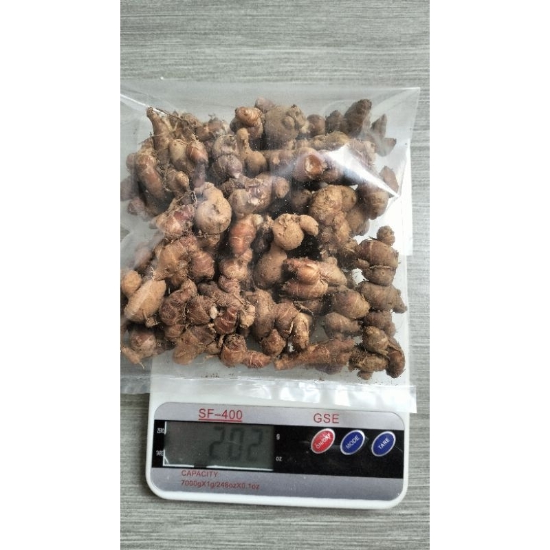 

kencur emprit 200 gram