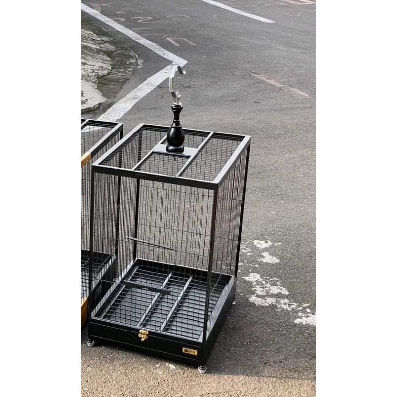 Sangkar kotak jati fhinising cat glossy,