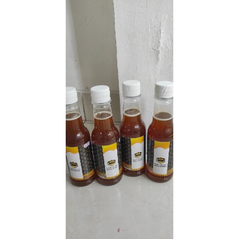 

Madu Trigona/ Klanceng/Kelulut