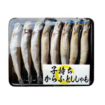 

SHISAMO / CAPELIN FISH isi 8