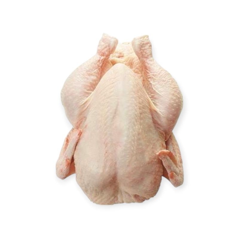 

Ayam Utuh fresh 1kilo - 800 gram Raja Chicken Bekasi Utara
