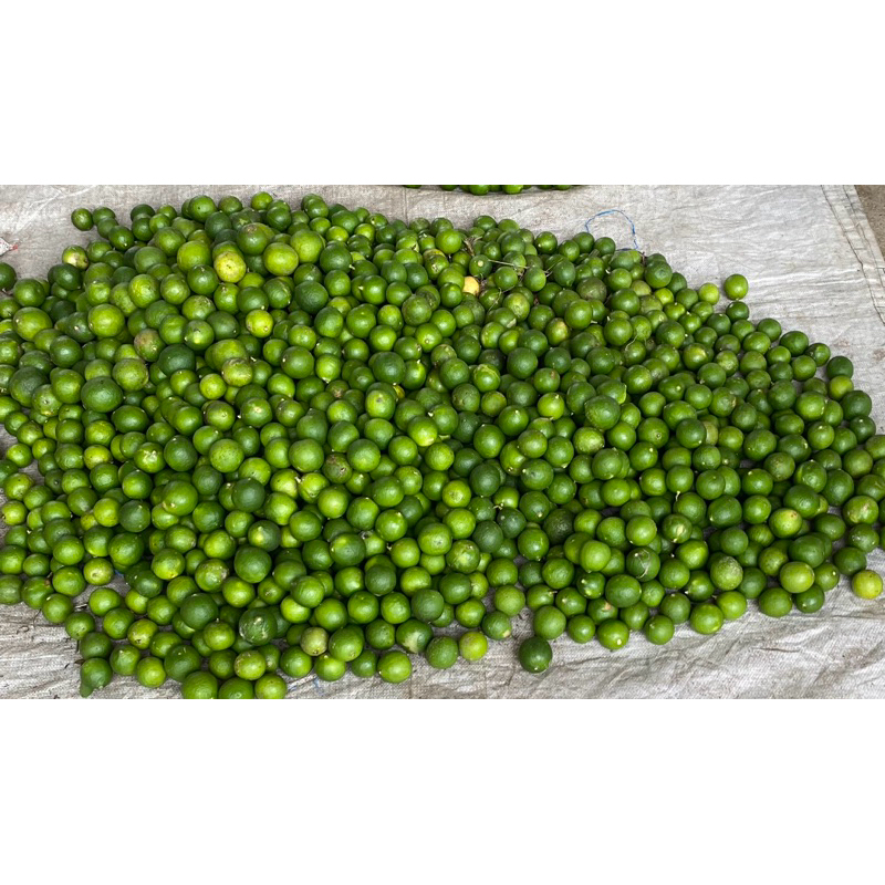 

Jeruk nipis kalimantan selatan 1kg 7.999