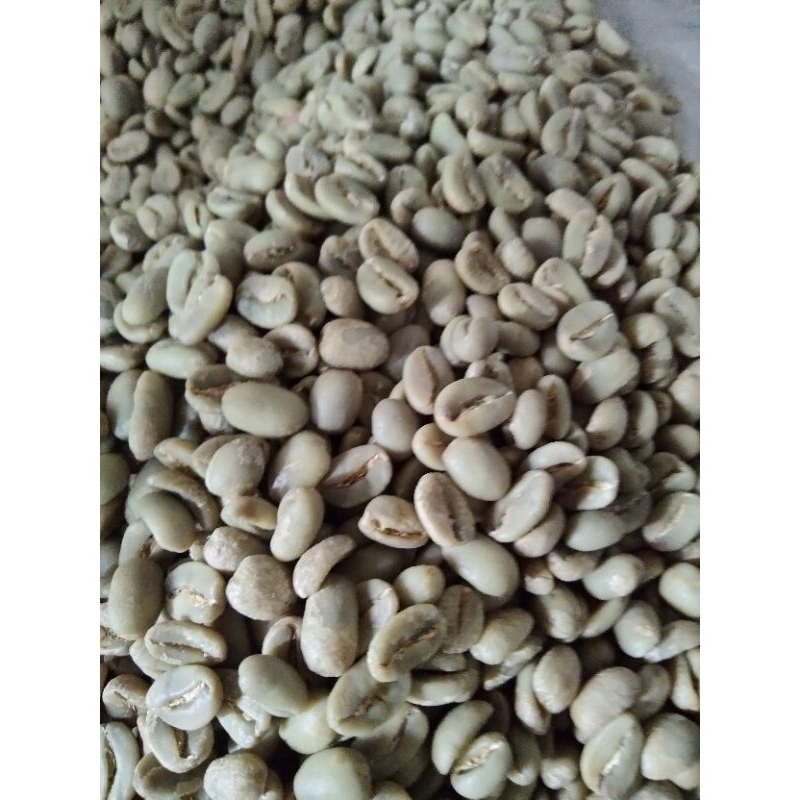 

Green bean Kopi arabika 1kg biji kopi arabika dataran tinggi dieng Wonosobo