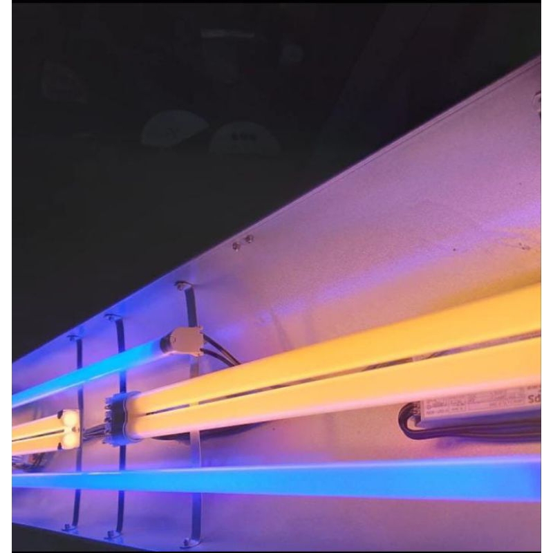 lampu tanning arwana 3 pll 2 aquazonic 39w P150