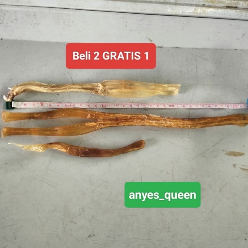 otot kaki sapi kering/Urat sapi/Urat kaki sapi/ Premium tendon stick/dog food otot sapi kering/air d