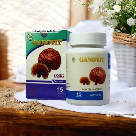 Jamur Lingzhi Ganovit Kapsul Herbal Alami isi 15 Kapsul Original