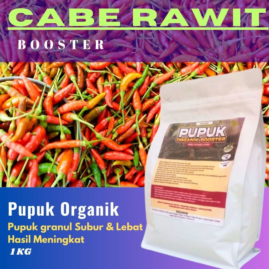 Pupuk Booster Cabe Rawit Pelebat Buah, Pupuk Cabe Rawit Awal Tanam, Buah Lebat dan Sehat