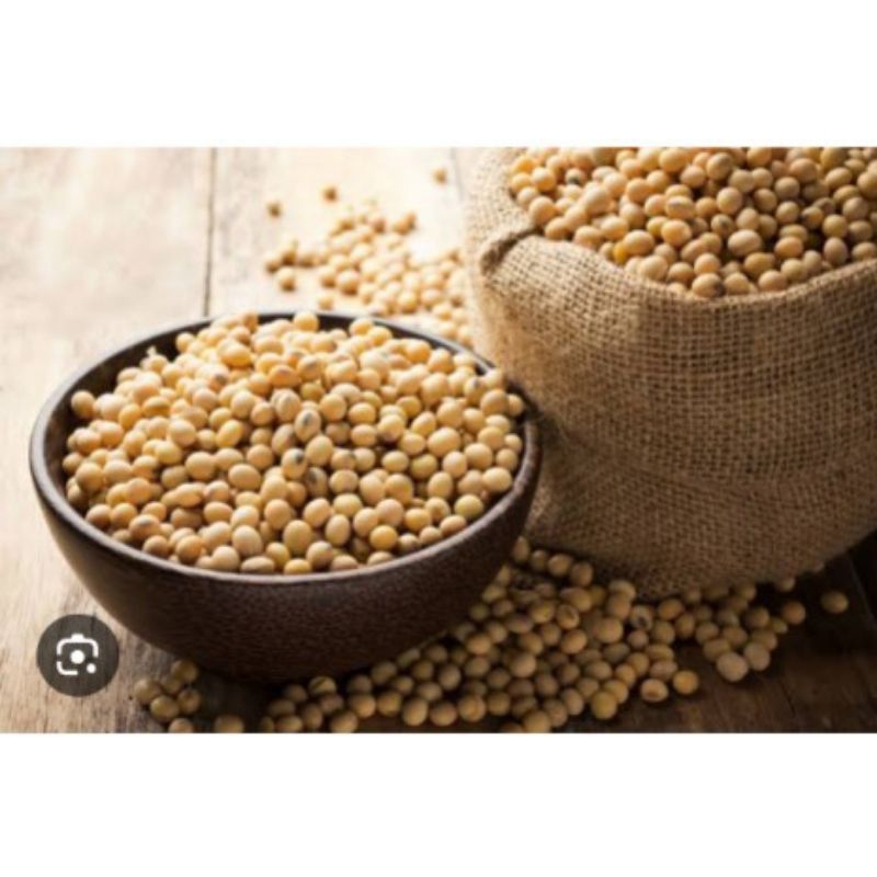 

Kacang kedelai mentah 500grm