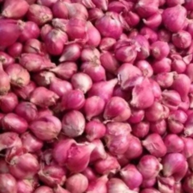 

bawang merah 250gr