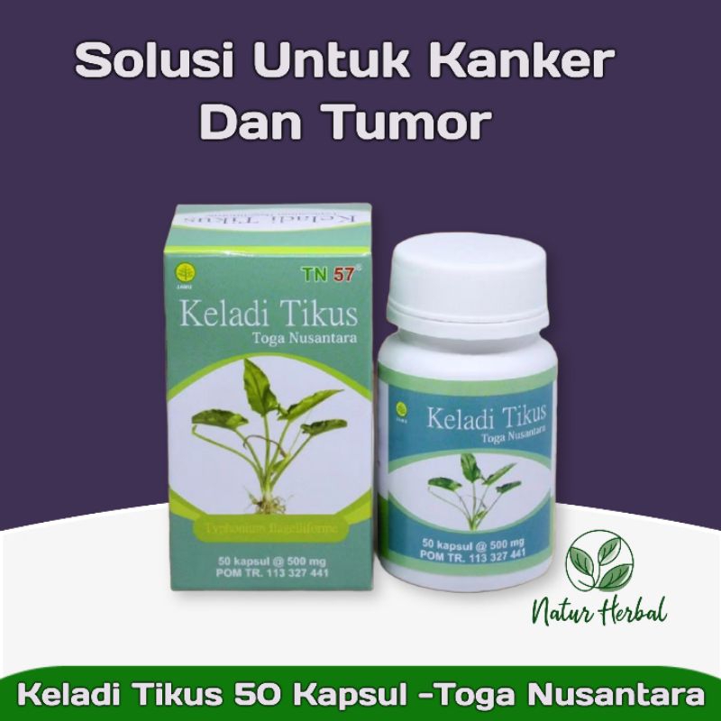 Kapsul Keladi Tikus TN 50 Kapsul (Obat Herbal Kanker) - Toga Nusantara