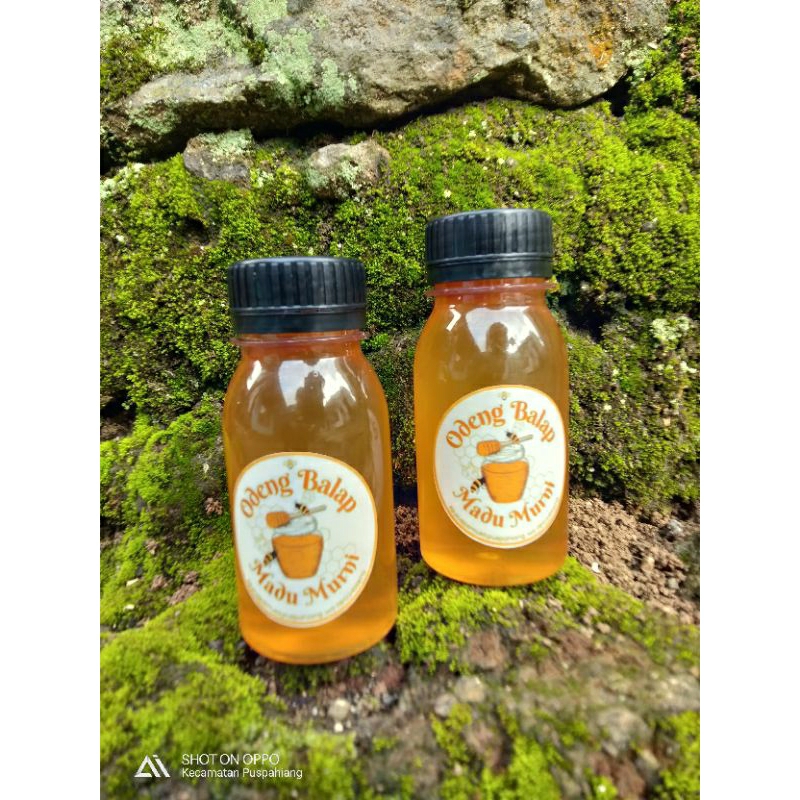 

Madu Odeng Murni - Madu Hutan Asli Original 70ml