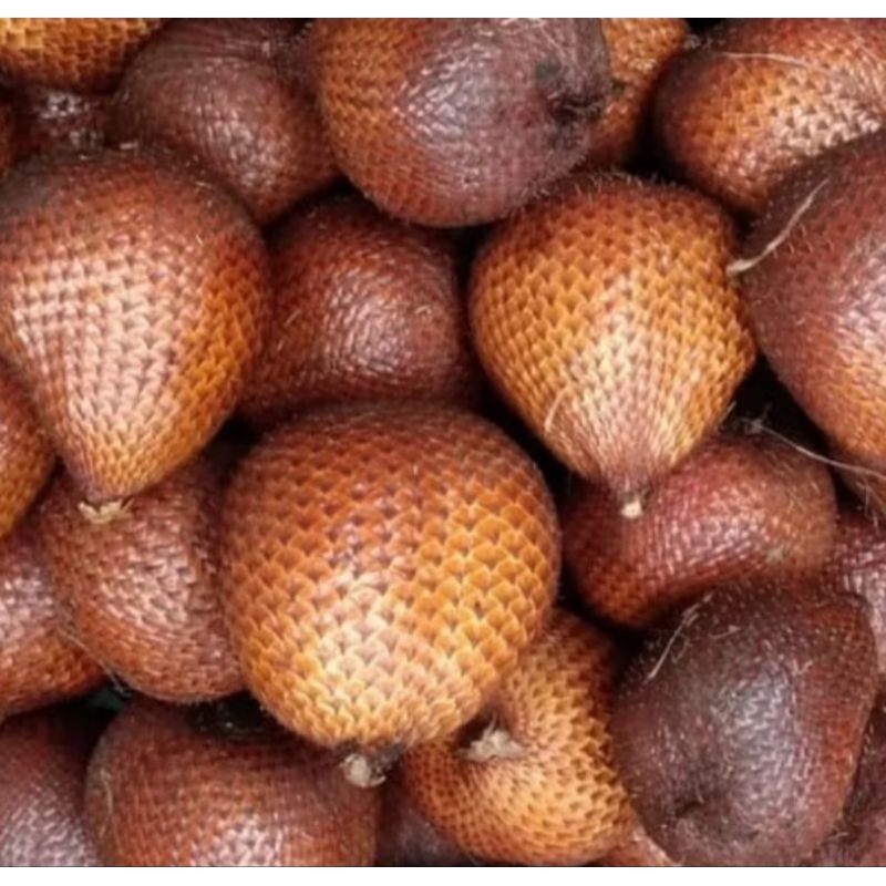 

Salak Pondoh Super Manis Kress Grade A 1 Kg