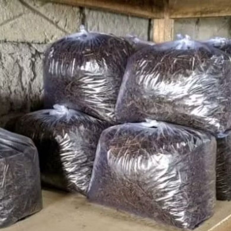 

500 Gram Teh Kemuning Original Teh Hitam Original