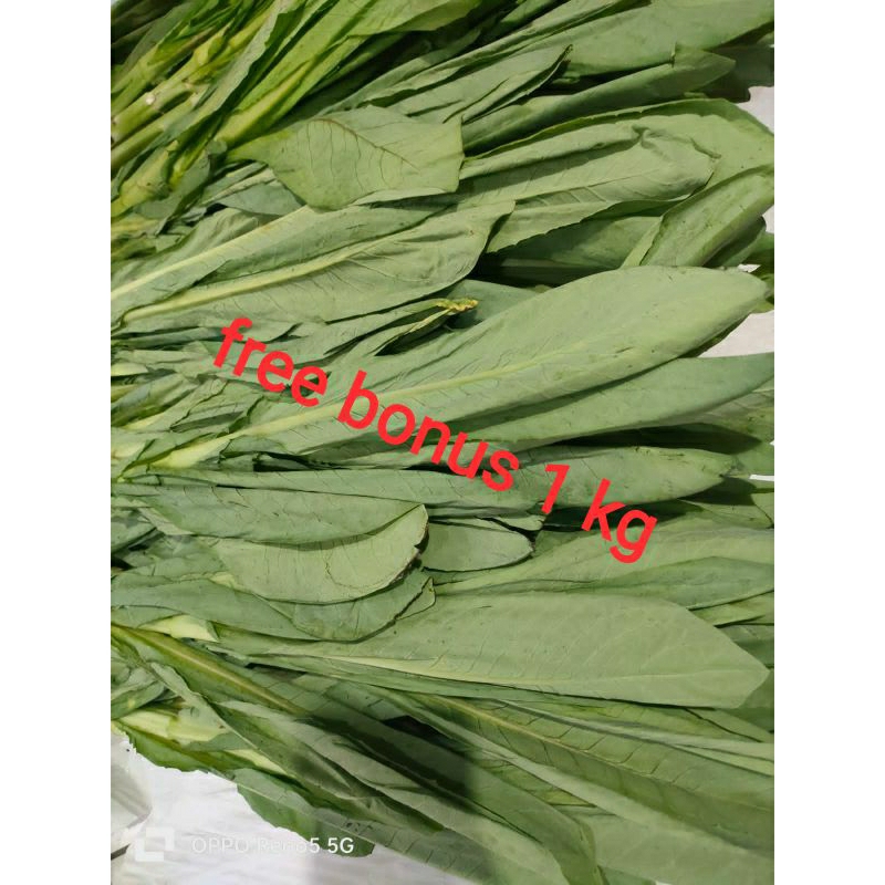 fumak segar 1kg + gratis bonus