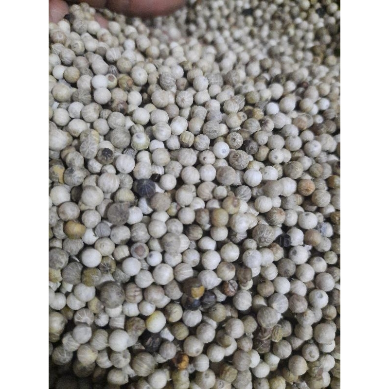 

lada putih biji utuh, Merica 250gram Asli Original