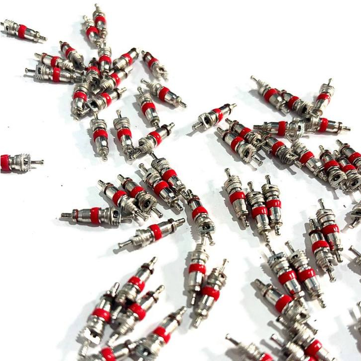 Isi Pentil Ban Spuyer Ban Tubbles Mobil Motor