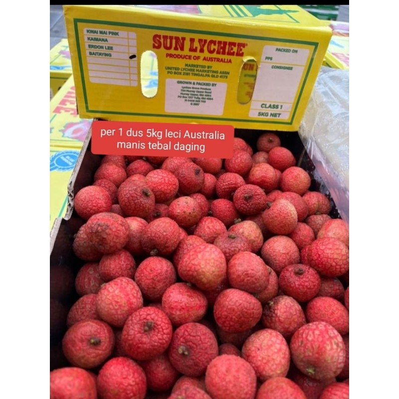 

Buah leci leychi Australia 1 dus 5kg buah