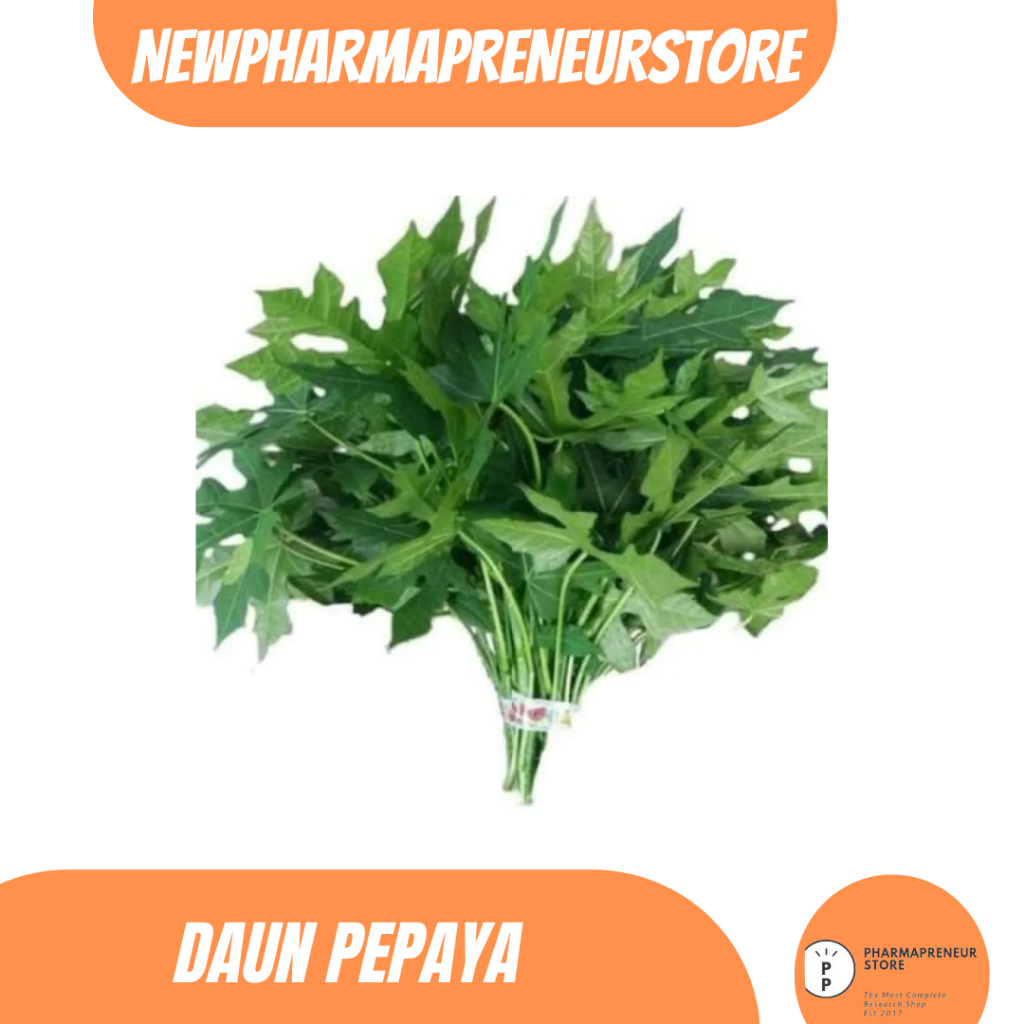 

EKSTRAK DAUN PEPAYA BEST QUALITY