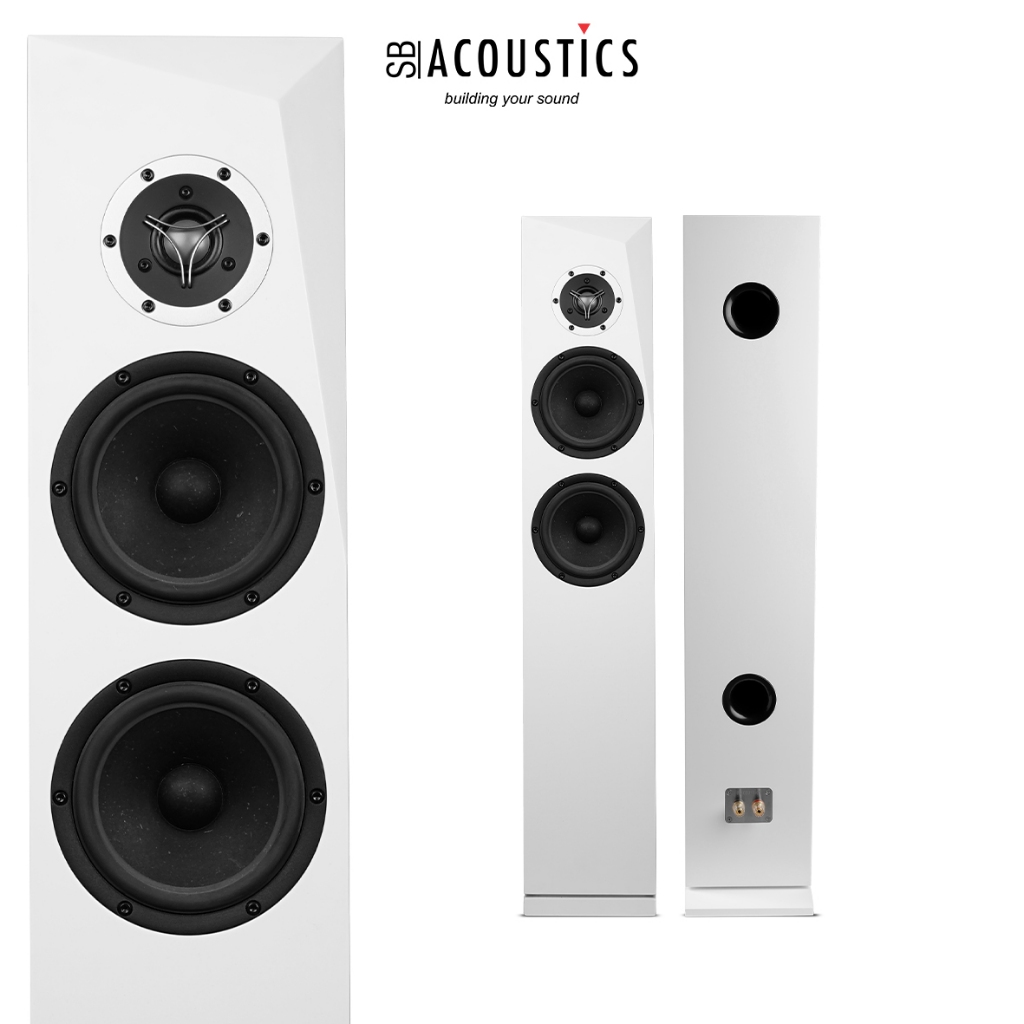 SB Acoustics Speaker Kits Complete RINJANI-BE