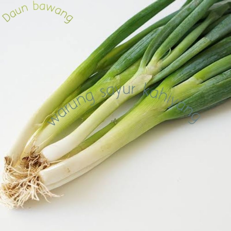 

KIRIM INSTAN DAUN BAWANG FRESS 250/500/1KG