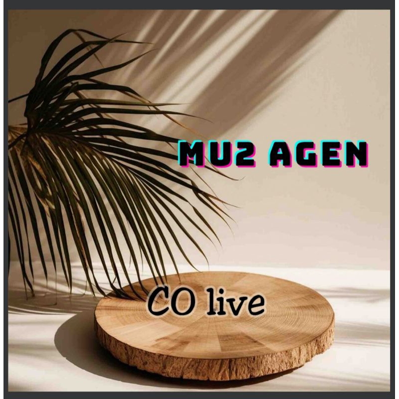 MU2 AGEN - Free hijab