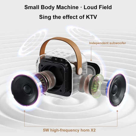 new [cod] speaker bluetooth karaoke 2 microphone set salon bluetooth speaker karaoke mini portable