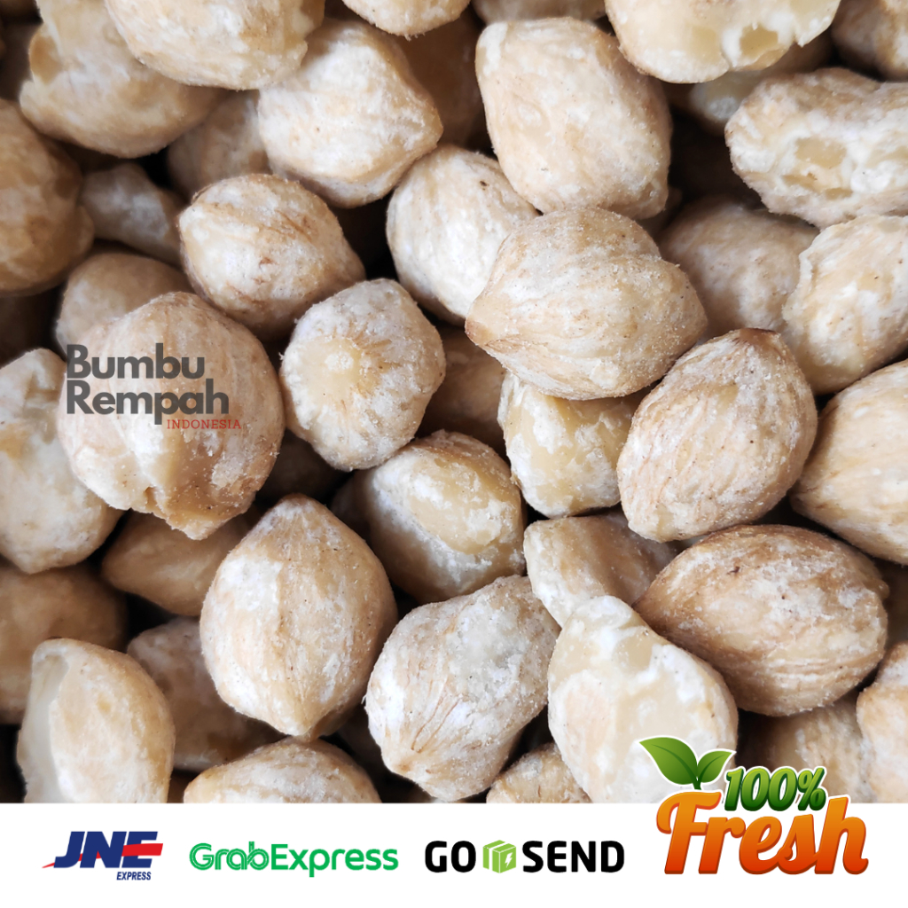 

Kemiri Bulat Medan Utuh 1 Kg Quality Super / Candlenut / Bumbu Dapur / Bahan Masakan